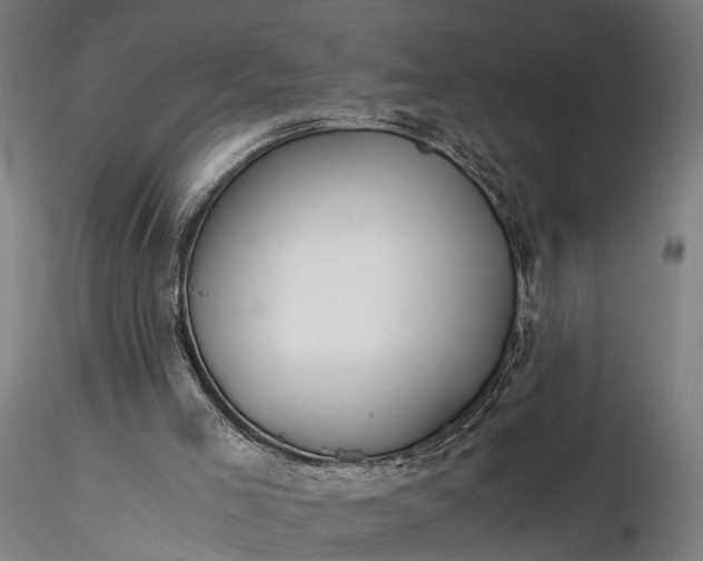 X0000116390005200912161535