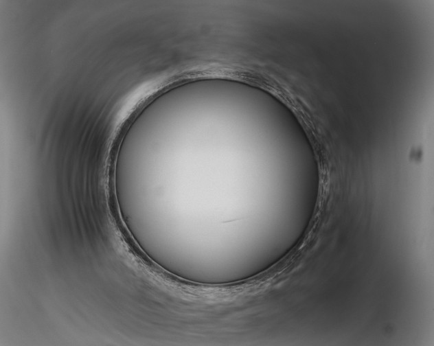 X0000116390006200912161535