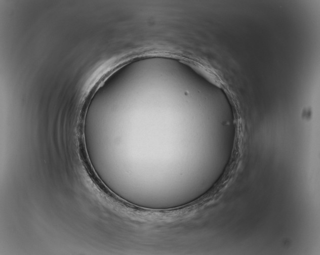 X0000116390007200912161535