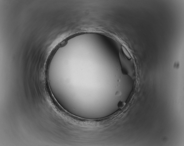 X0000116390008200912161535