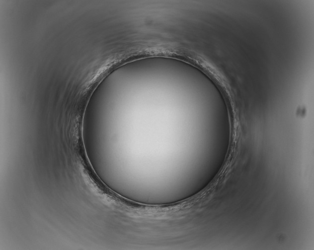 X0000116390009200912161535