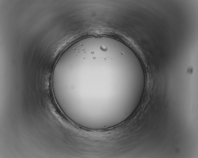 X0000116390010200912161535