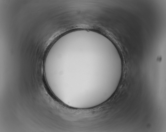 X0000116390011200912161535