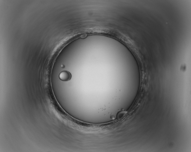 X0000116390012200912161535