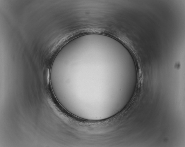 X0000116390013200912161535