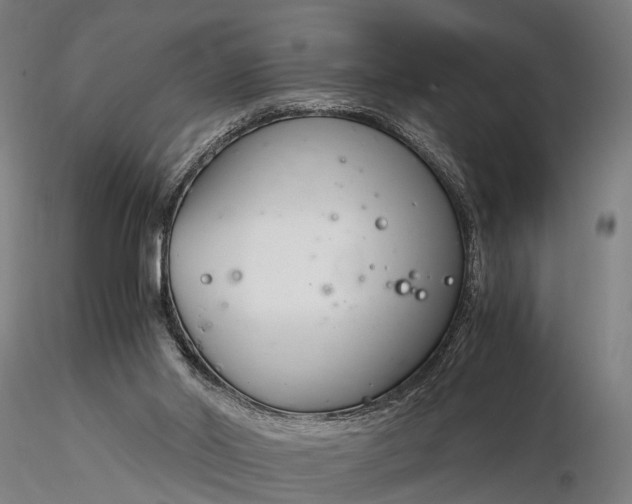 X0000116390014200912161535