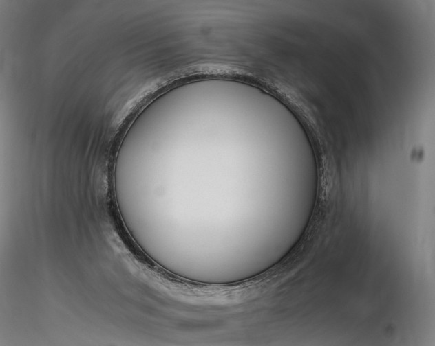 X0000116390015200912161535