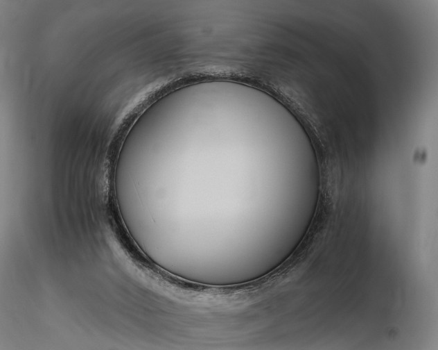 X0000116390016200912161535