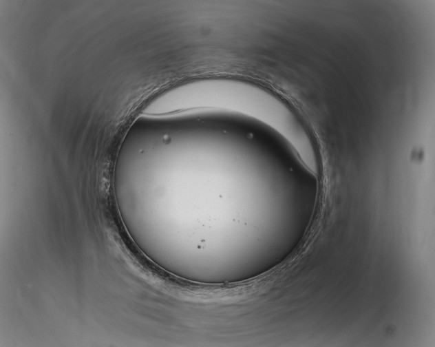 X0000116390017200912161535