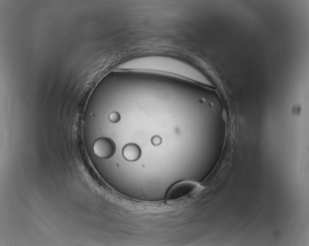 X0000116390018200912161535