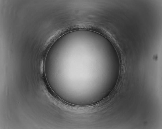 X0000116390019200912161535