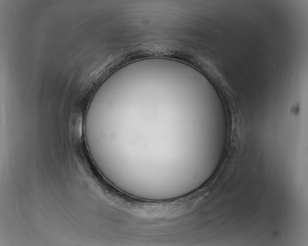 X0000116390021200912161535