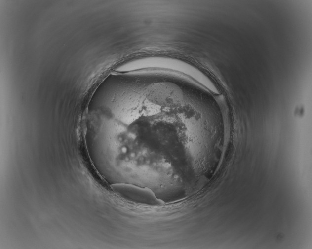 X0000116390023200912161535