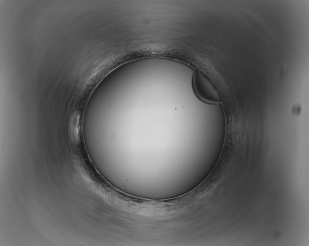 X0000116390024200912161535