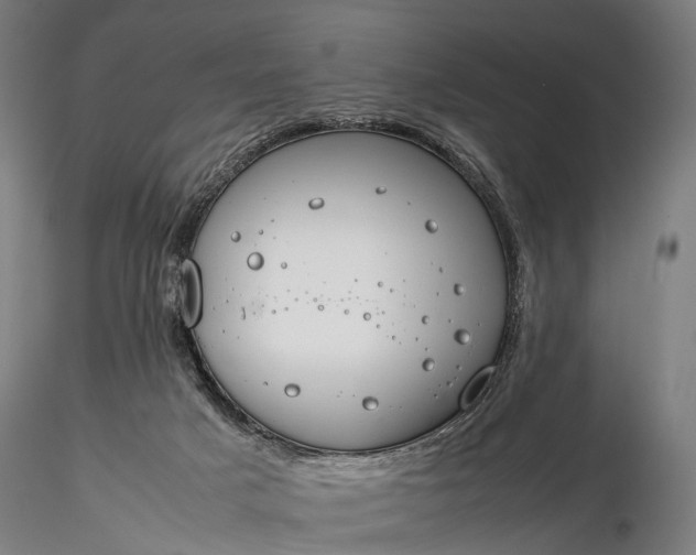 X0000116390025200912161535