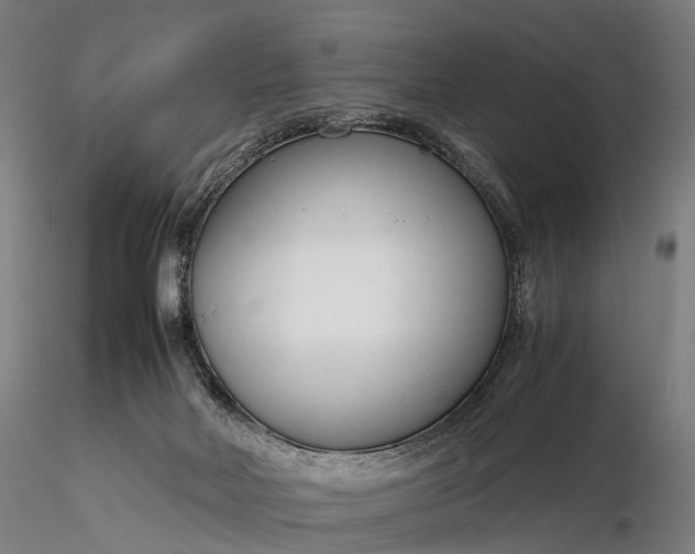 X0000116390026200912161535