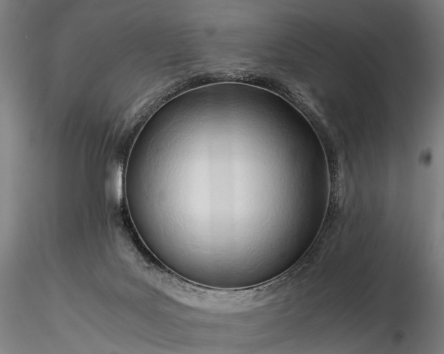 X0000116390027200912161535