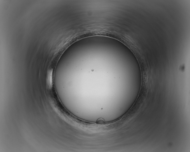 X0000116390028200912161535