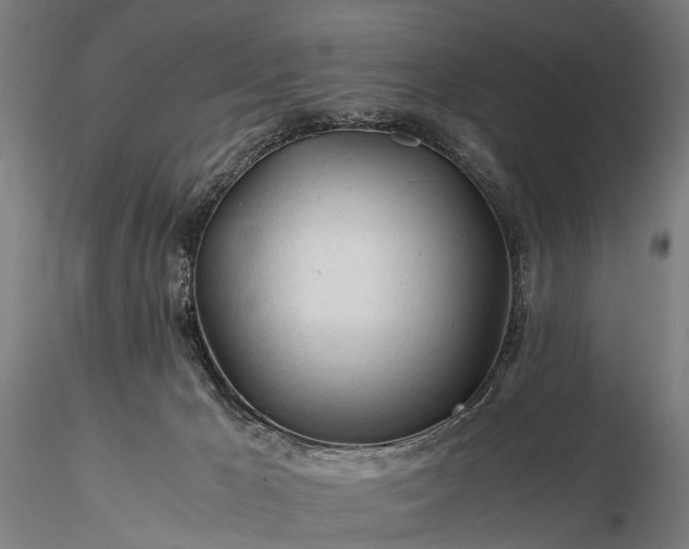 X0000116390029200912161534