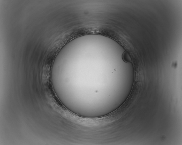 X0000116390030200912161534