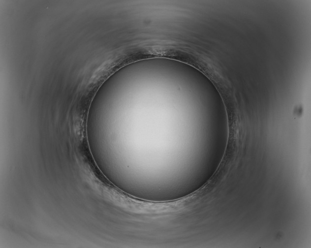 X0000116390031200912161534