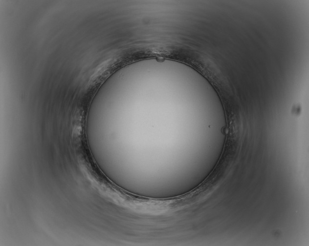 X0000116390032200912161534