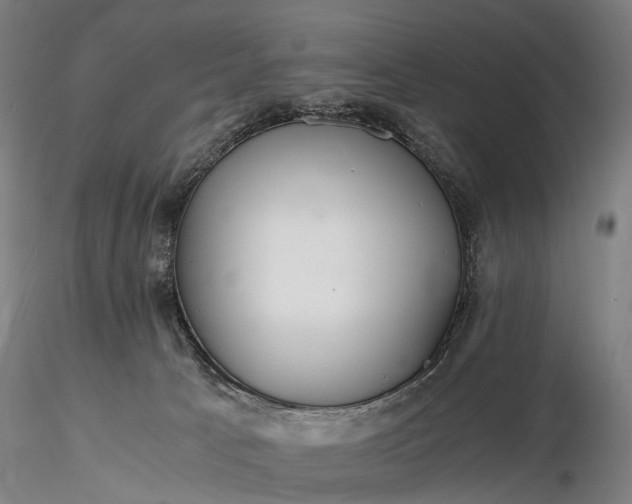 X0000116390033200912161534