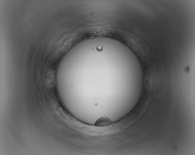 X0000116390034200912161534