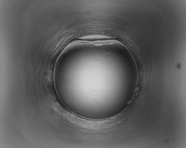 X0000116390035200912161534