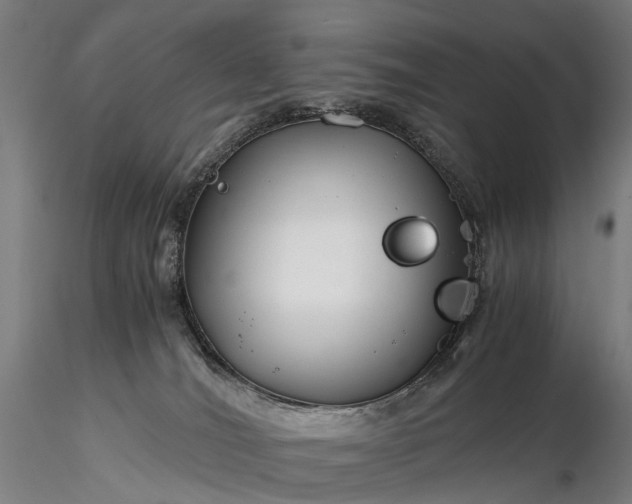 X0000116390036200912161534