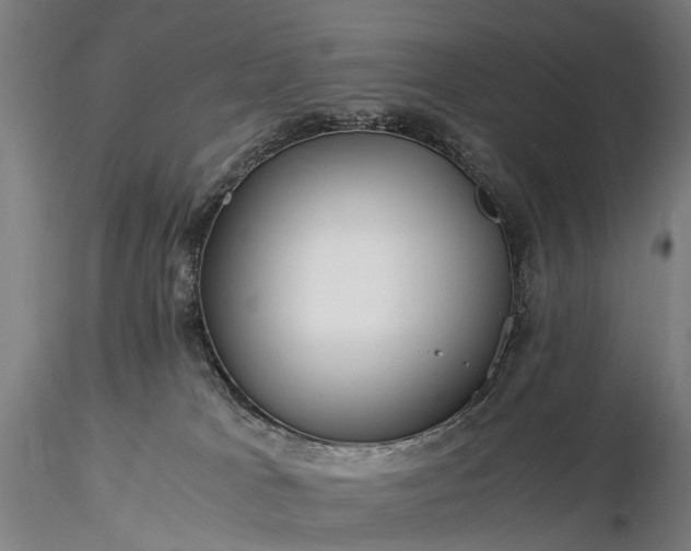 X0000116390037200912161534