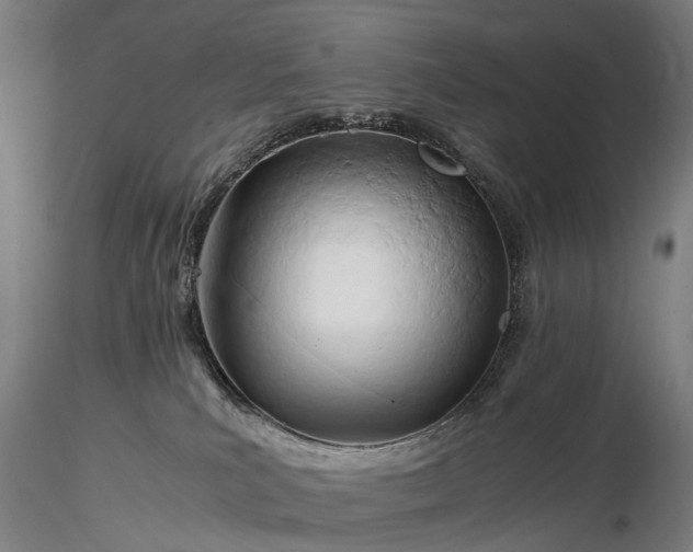 X0000116390039200912161534