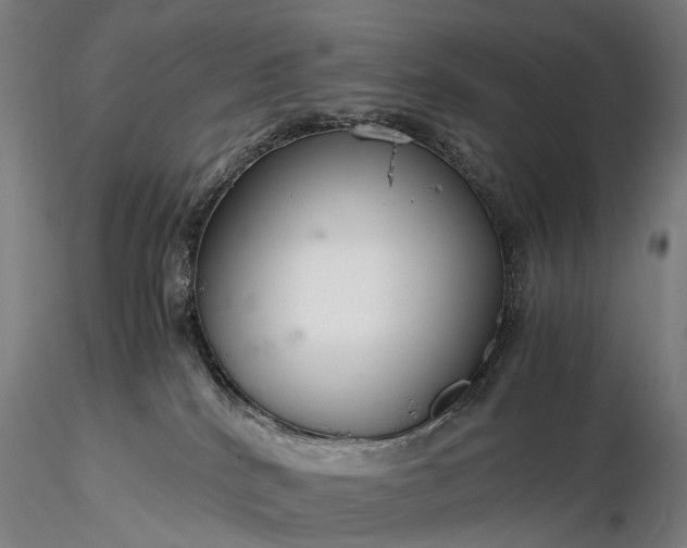 X0000116390040200912161534