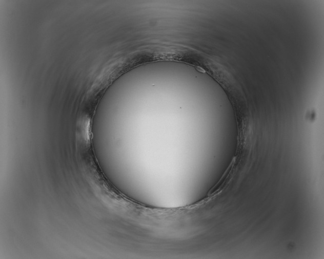 X0000116390041200912161534