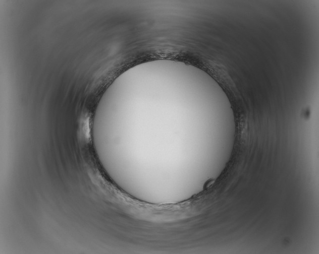 X0000116390042200912161534