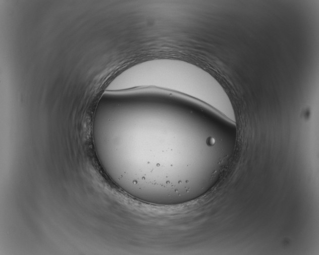 X0000116390043200912161534