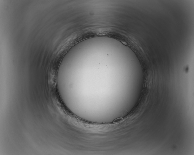 X0000116390044200912161534