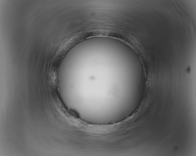 X0000116390045200912161534