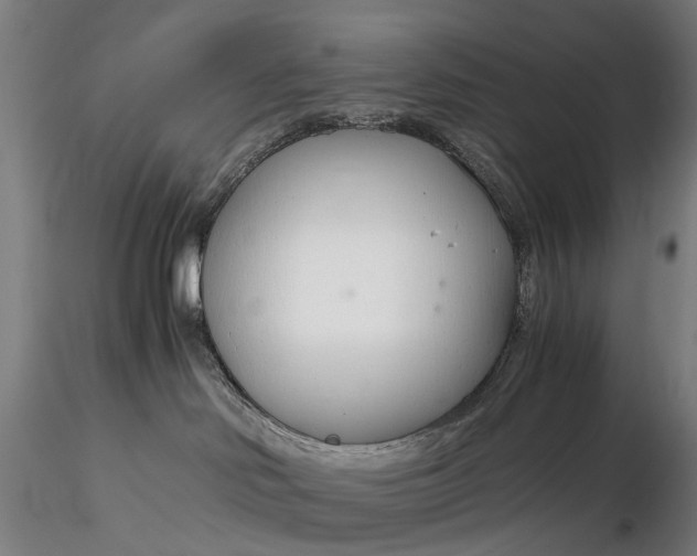 X0000116390046200912161534