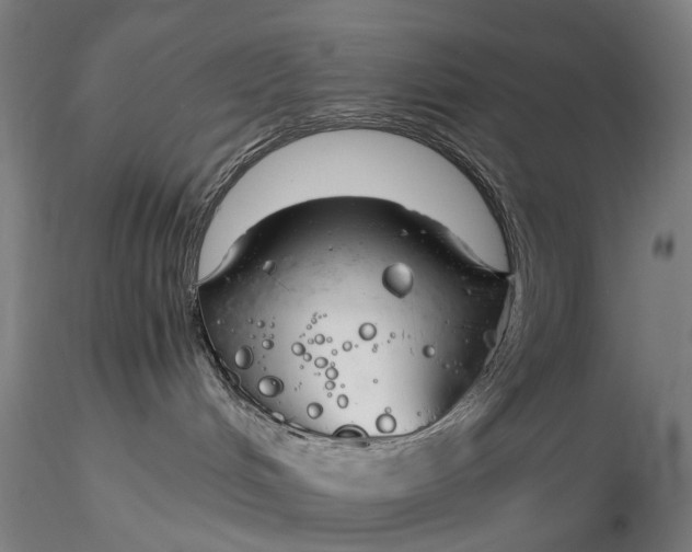 X0000116390048200912161534