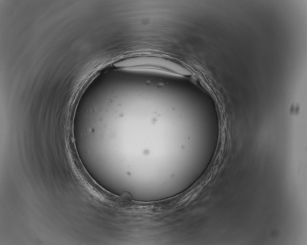 X0000116390049200912161533