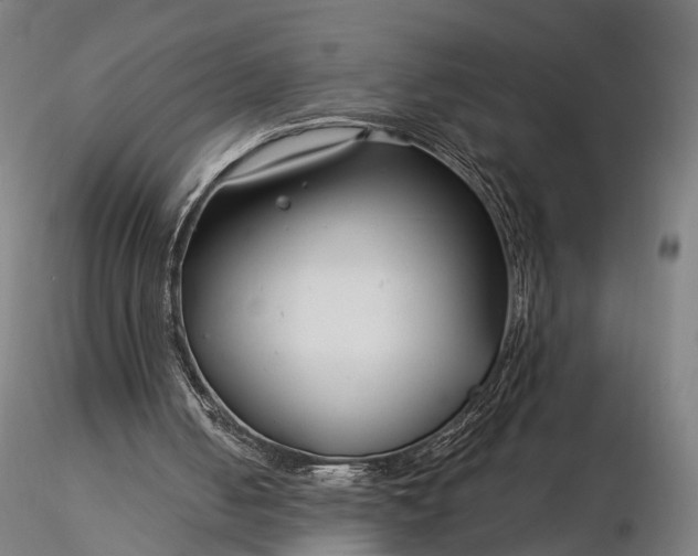 X0000116390050200912161533