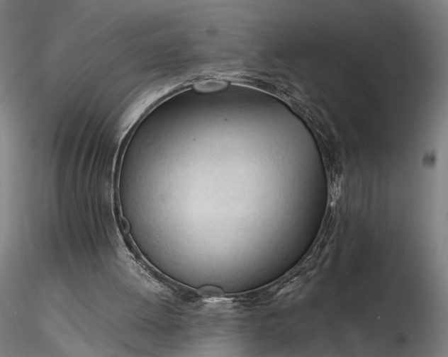 X0000116390052200912161533