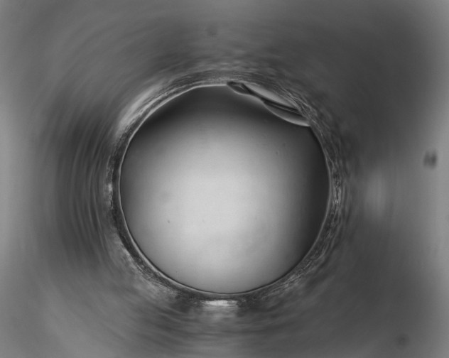 X0000116390053200912161533