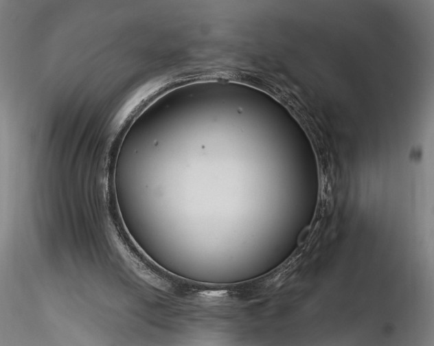 X0000116390054200912161533