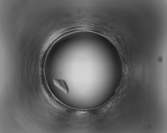 X0000116390055200912161533