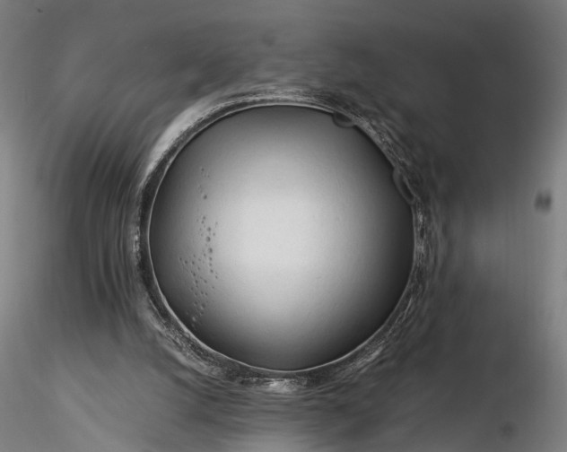 X0000116390056200912161533