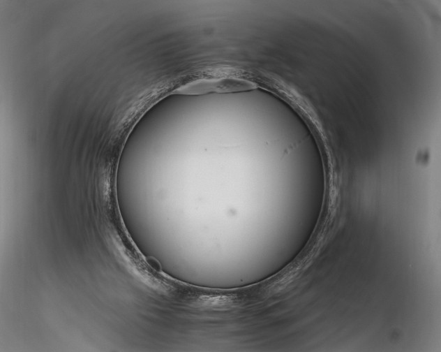 X0000116390057200912161534