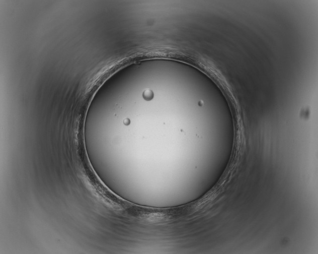 X0000116390058200912161534