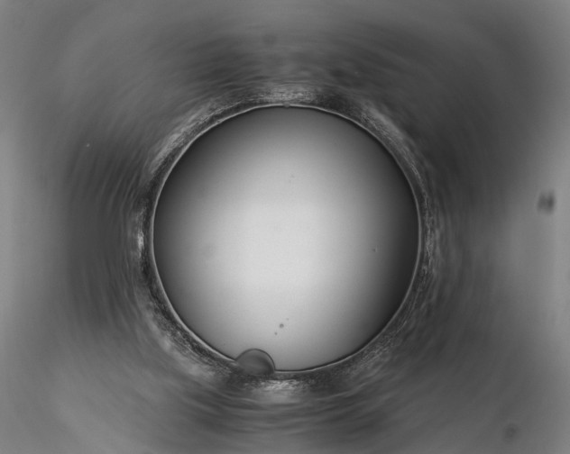 X0000116390059200912161534